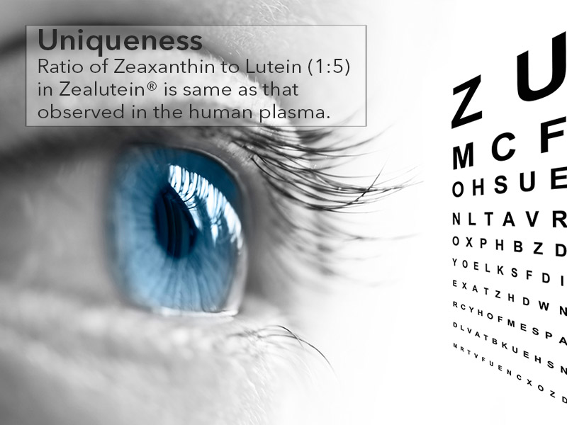 Global Buisness Information