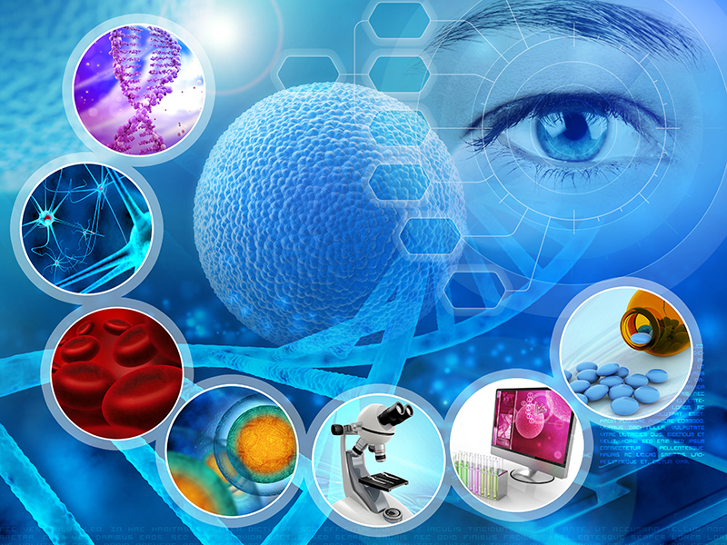 Global Buisness Information