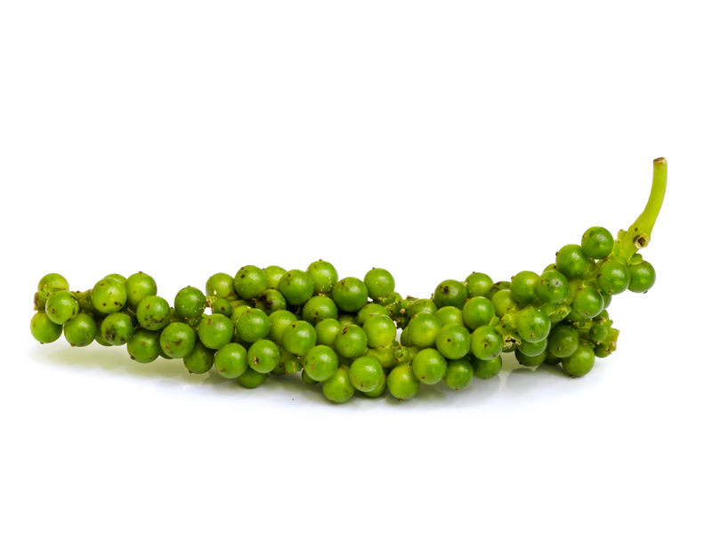 Global Buisness Information